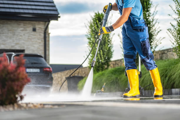 Best Gutter Cleaning  in Holly, MI